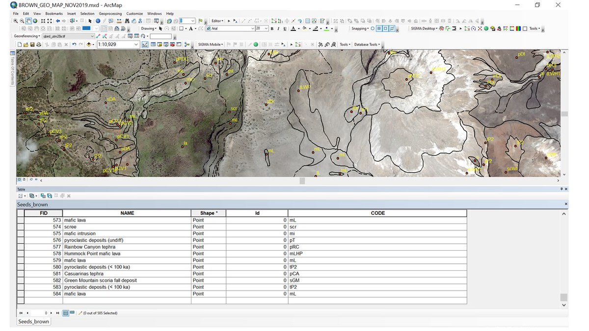 Earth_Sci_Richy's tweet photo. Part of the new @BGSvolcanology @DurUniEarthSci Ascension Island geological map is at the next stage: each outcrop now coded in ArcMap with a rock type. Lots of to-and-fro between PC, photos, drone video, fieldslips and notebooks.  @AscensionVolc @AIGConservation @ascension_gov https://t.co/9lC8Ae6nix