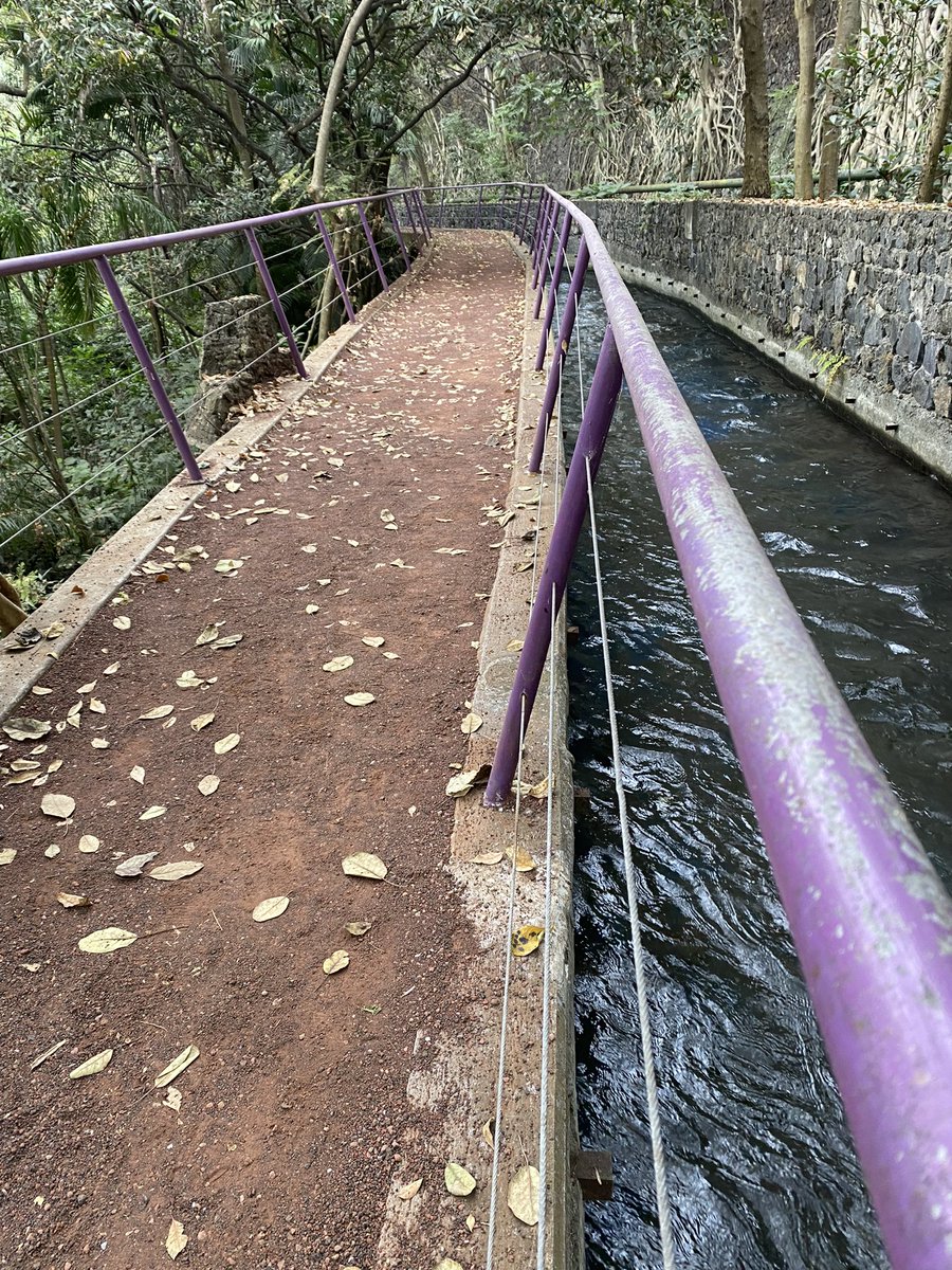 JosueLarMor's tweet photo. 20 años y no me deja de sorprender este magnífico espacio en #Cuernavaca nuevos 5k a mis tenis 👊🏻
#ParqueChapultepec 👌 https://t.co/A7w9LM16WP