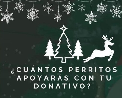 leyladacrt's tweet photo. ¿Cuantos perritos apoyarás con tu donativo en estas fiestas? Un total de 40 perros y gatos
Si donas  $50 estás alimentando 3 🐕 
Si donas $100 estarás alimentando 6 🐕 
¿Te animas? ♥️🐾 Recuerda que pequeños cambios hacen la diferencia @MemeYamelCA
¿Compartimos? https://t.co/eyt54OXt5d