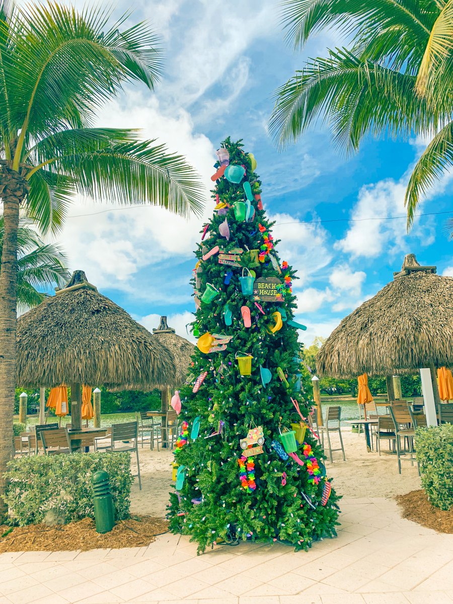 Mville_HBR's tweet photo. Who else is dreaming of a beach Christmas?! 🎄 ☀️ 🏖️ 

#margaritaville #christmastree #decemberinflorida #happyholidays https://t.co/vlNFtFpenK