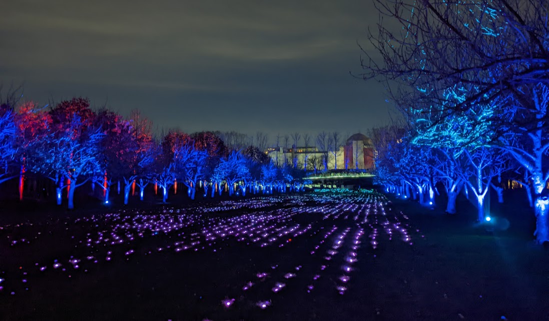 DavidJHudsonJC's tweet photo. Cherry esplanade @BrooklynBotanic's #Lightscape. Felt as if I was strolling through a magical holiday landscape. A must-see. #BBGLightscape https://t.co/vixpmn1mZ7