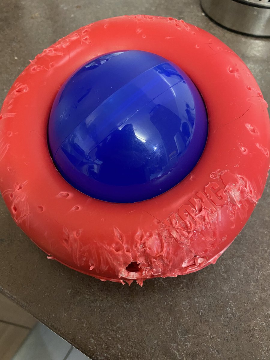 Charlotte Francis tweet media