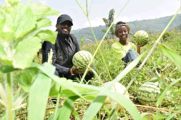 jcniyomugabo's tweet photo. #Youth, let's start small with what we have.

If we wait for conditions to be perfect, we will never get started. If you are venturing into #farming for the first time, focus on #learning.

Go through all season. Learn how #plants behaves; consistency will allow you to #upscale. https://t.co/tuSv5YBgBl