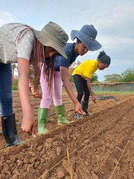 jcniyomugabo's tweet photo. #Youth, let's start small with what we have.

If we wait for conditions to be perfect, we will never get started. If you are venturing into #farming for the first time, focus on #learning.

Go through all season. Learn how #plants behaves; consistency will allow you to #upscale. https://t.co/tuSv5YBgBl