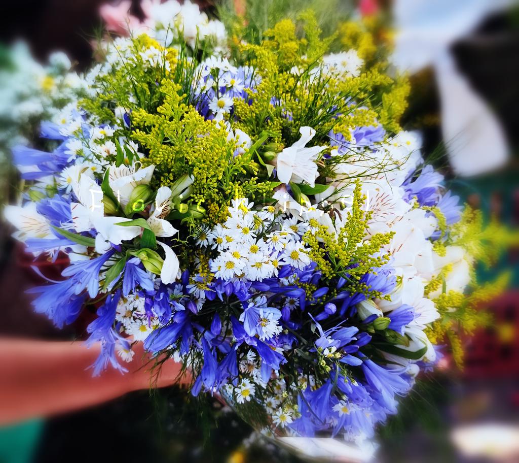 Buquê para jarra! Com Agapanthus africanus, Asparagus setaceus, Symphyotrichum tradescantii, Alstroemeria e Solidago canadensis. #Asparagus #Solidago #Alstroemeria #Symphyotrichum #Buquê #Colors #Flowers #LALK #Edition  #America #Tango #flores #tropical #natural #destaque. #FK.