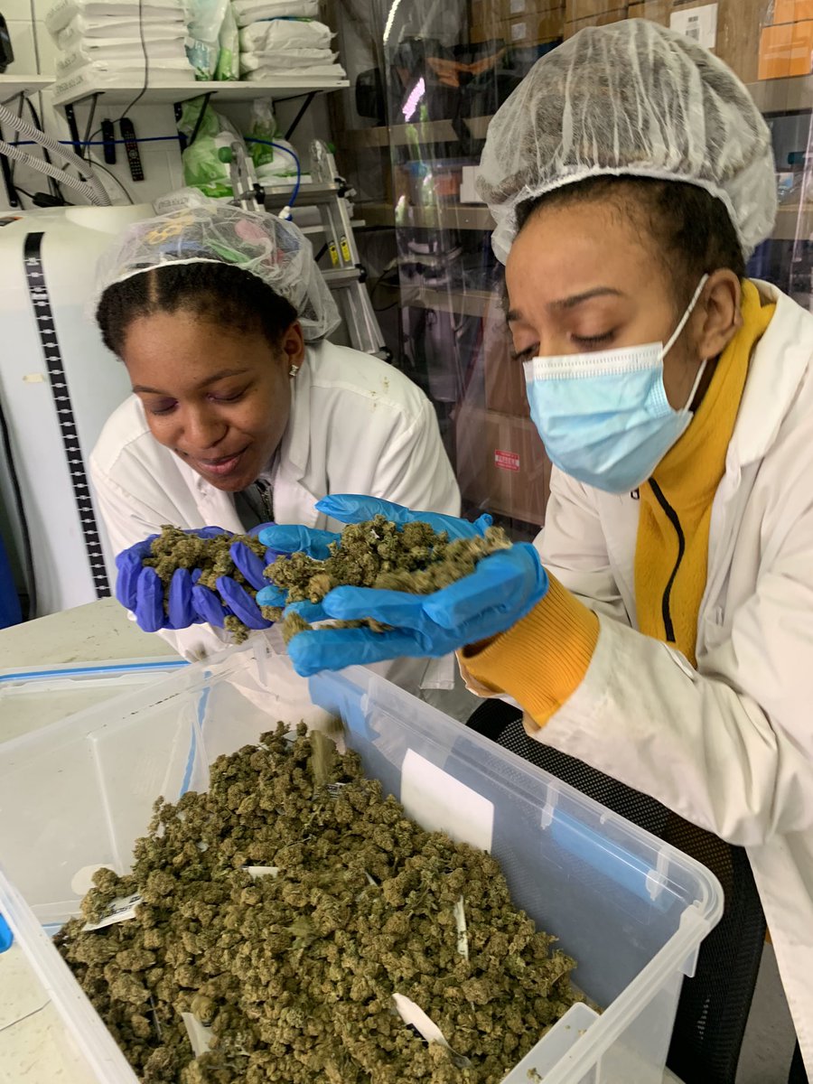 Chihightours's tweet photo. Pure bliss 😌 Our cultivation your is a true immersion into cannabis 🌱 book online and experience it yourself 👀 #cannabistours #chihightours  
https://t.co/WWRUDsqyyz https://t.co/wu1S1Fot8C