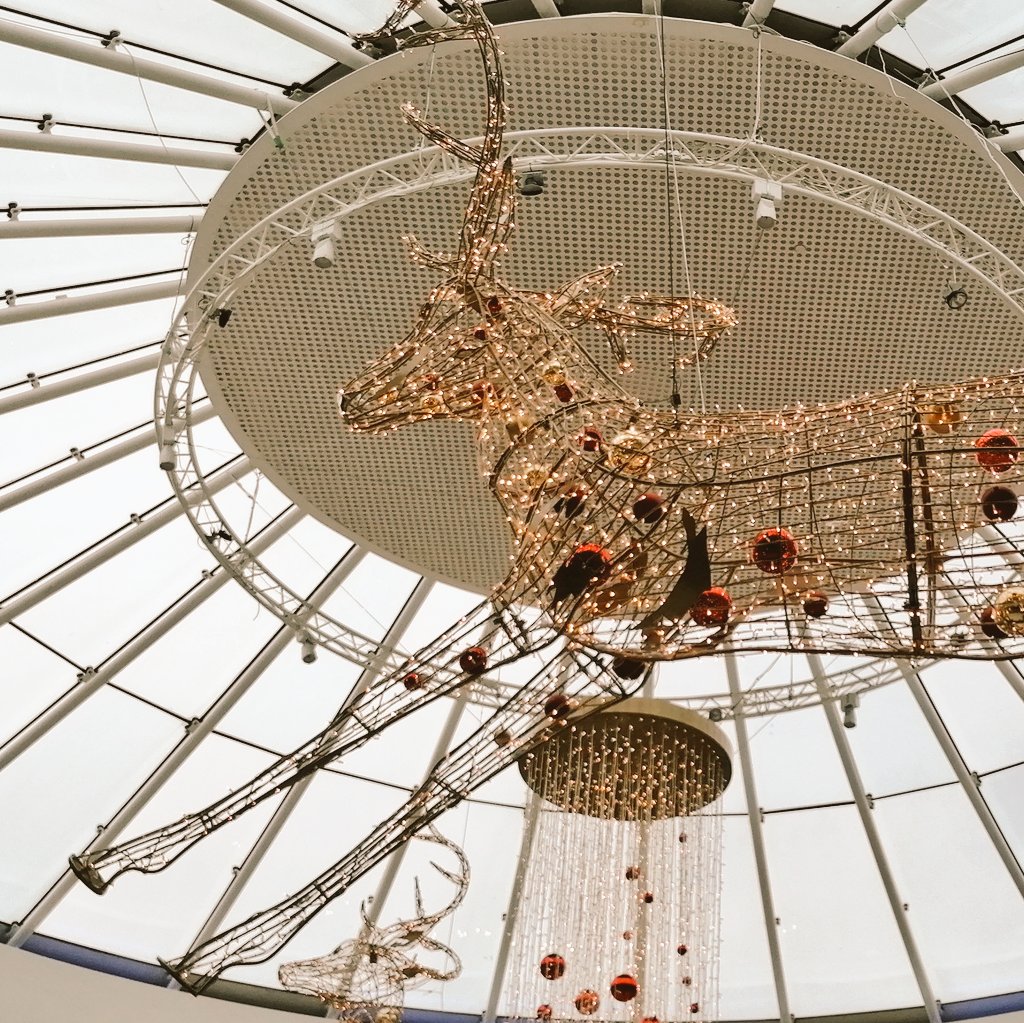 FOS_Images's tweet image. Great large scale decorations at Liffey Valley S.C. This morning was like a busy regular Friday night, also queuing to enter shops. It's going to be a manic week !! 😧🎅🌲🎁 #christmasdecor #christmasshopping