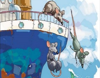 Markitorc2's tweet photo. 🐀 @felipekast https://t.co/X5iPZEQKfT