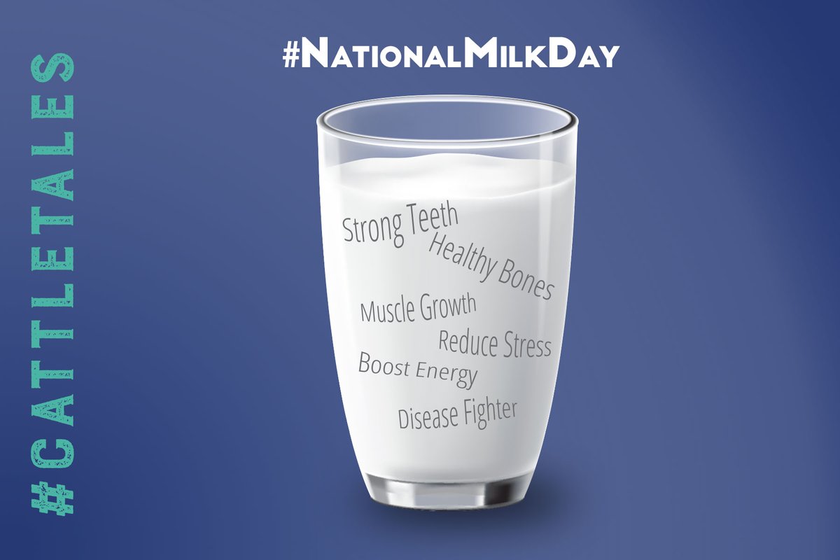 CattleTales's tweet photo. ๐ฅ Milk doesn't just give you muscles! We get so many benefits from one glass of milk. #ThanksCows #NationalMilkDay #MustHaveMilk https://t.co/W8yZzjEGlk