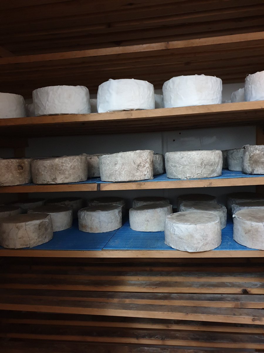 RibblesdaleC's tweet photo. Here are the last naughty #Goatisans standing. I may have got it right, for once, maybe, for how many we needed by the end of the year. In Jan, their abode, the place of many a memorable party will be given a good old springclean & they will have some new siblings to lead astray. https://t.co/sl0FVMUvZW