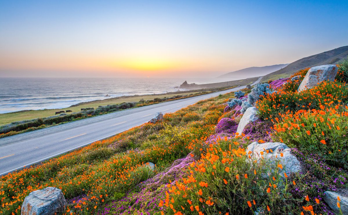 21stCenturyAuto's tweet photo. Start the week off by going paperless with 21st Century Insurance®! It’s quick, easy, and eliminates paper clutter. https://t.co/0Ds6FqD7qu https://t.co/iWekHEpk2h