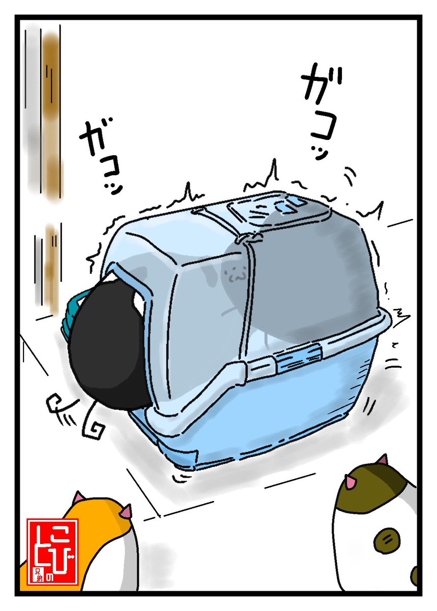 順番を待たずに入り
出口を大きいお尻で塞いで
トイレに監禁する‥ネコ
#猫 #猫がいる暮らし #猫好きさんと繋がりたい #猫との生活 #イラスト #イラスト好きな人と繋がりたい #絵 #絵描きさんと繋がりたい #絵柄が好みって人がいたらいいなぁ #冬の創作クラスタフォロー祭り