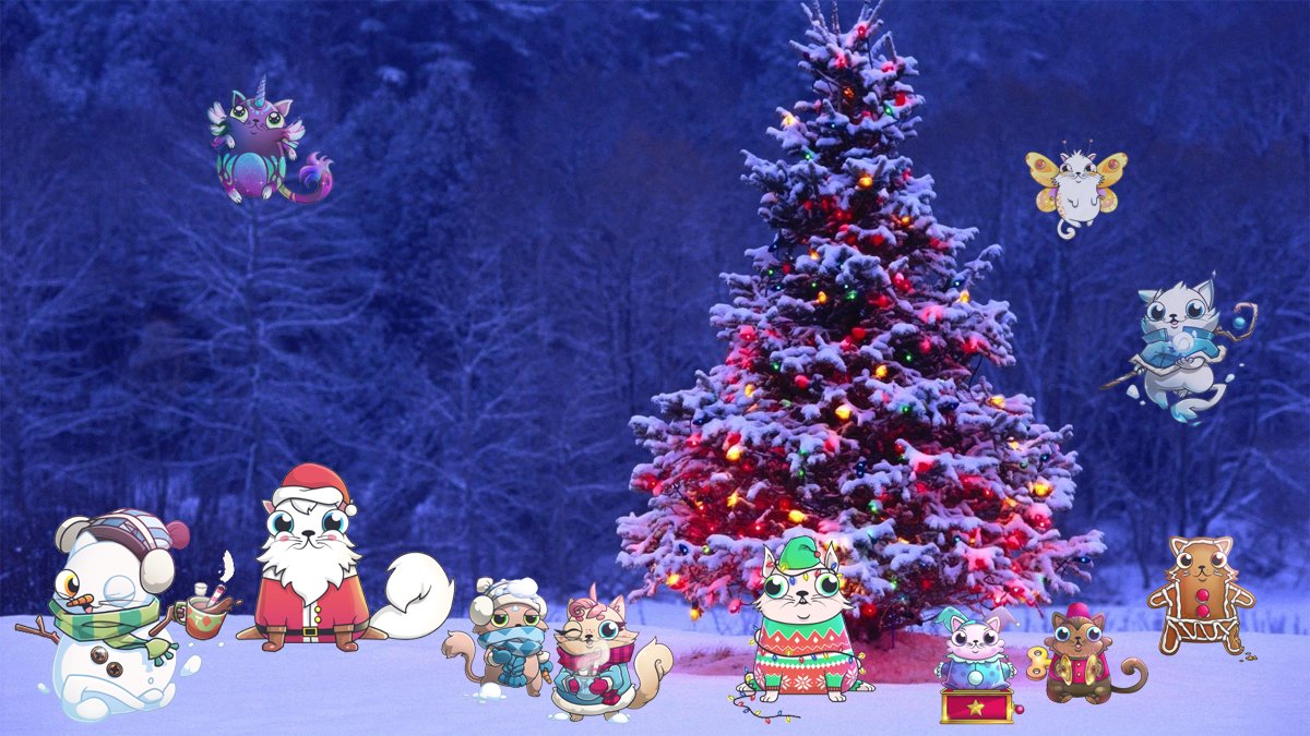 KittiesNice's tweet photo. CryptoKitties wishing you Happy Holidays! 🎅🎄☃️
@CryptoKitties https://t.co/3vRCpXJnFi