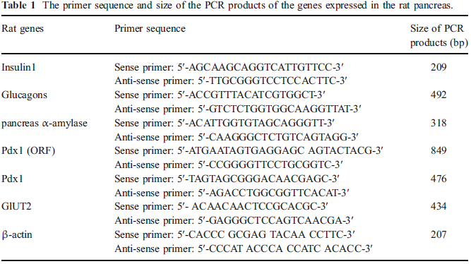 RBResearchTeam's tweet image. The findings indicated that the researcher effectively offered an affordable, quick, and reproducible approach for obtaining high-quality and intact RNA from rat pancreas using TRIzol® Reagent and liquid nitrogen.

Source: DOI 10.1007/s12010-008-8391-0
SHARED BY: Alif Haikal