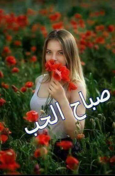 Mostafakalefa6's tweet photo. @10_10a_ صباح الفل https://t.co/R7MfrzA6Ng