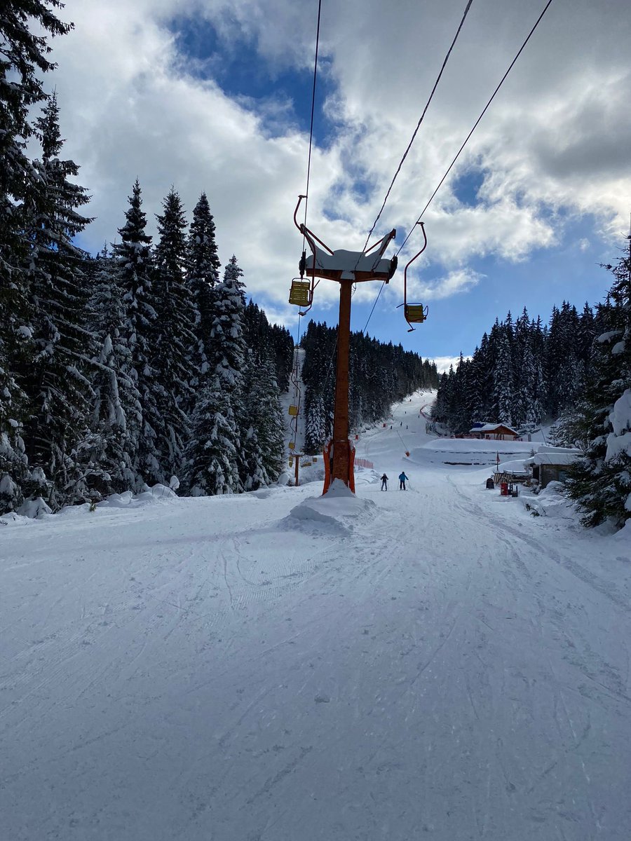 Noela Mullan tweet media