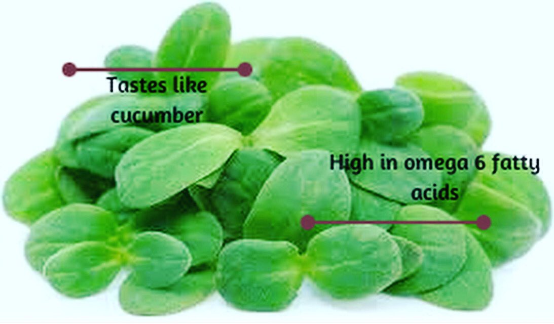 RootUpIreland's tweet image. The perfect addition to any dish. Just add it last and it’ll refresh you after the meal. 

#louthchat #irishchef