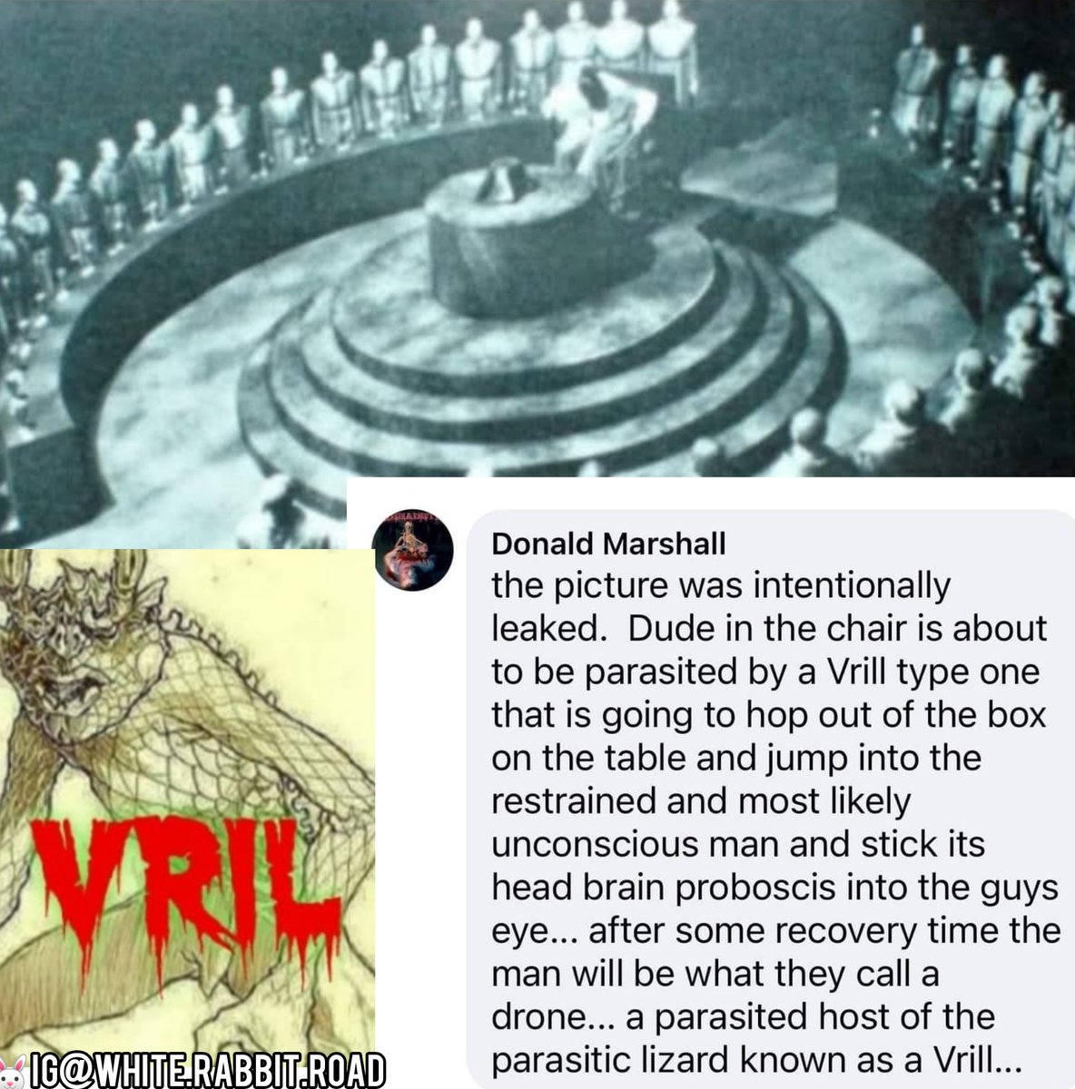 ApocalypseAlic3's tweet photo. Vrill call themselves the children of Lucifer. Vrill are religious. They say they are the demons in all the books. Vrill live in primitive tunnels and hollows in some regions, they also live in deep base cities in some regions.  
#donaldmarshallrevolution #vrill #destroythevrill https://t.co/SOOGEntI2p