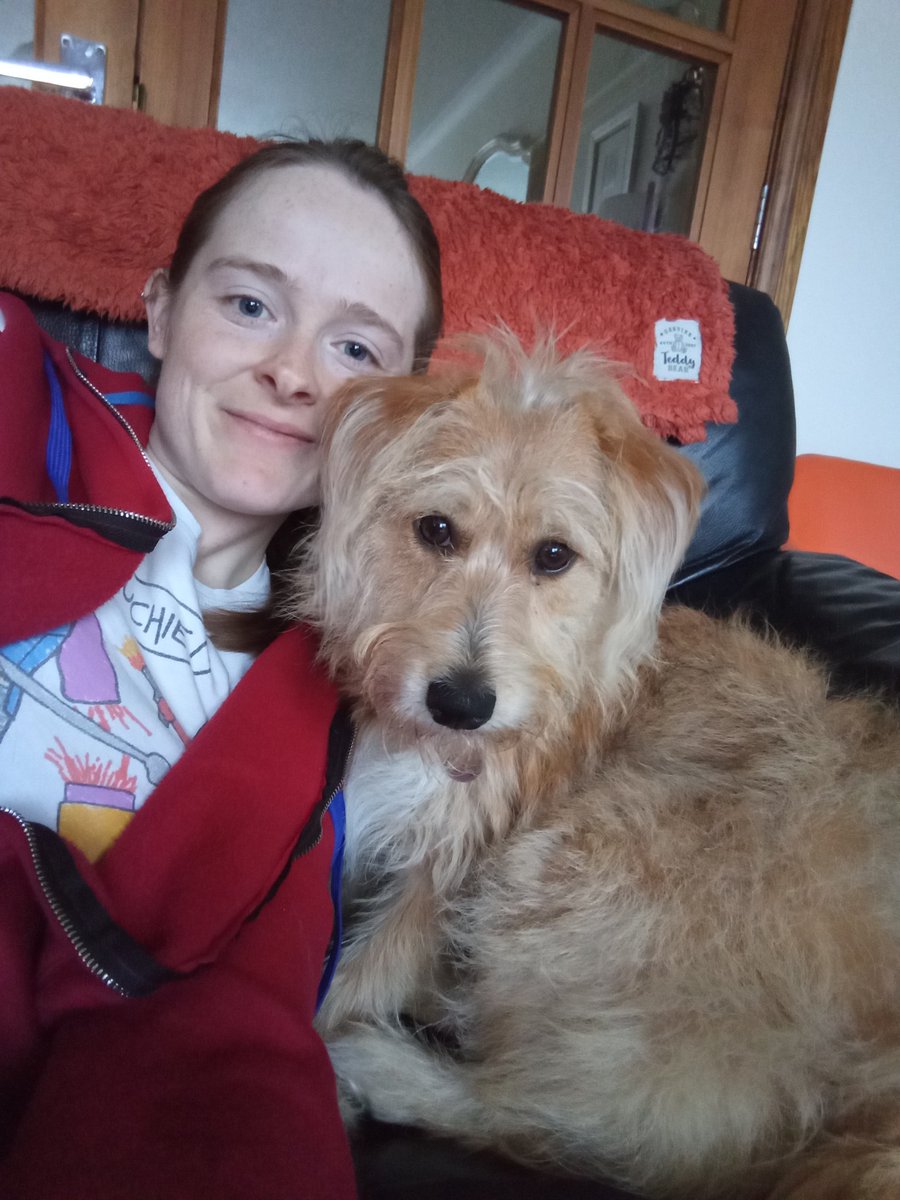 GBLawrence94's tweet photo. @TawseDylan Joining the puppy club for #sscg40 on my birthday! π https://t.co/IKGyFdqEtm