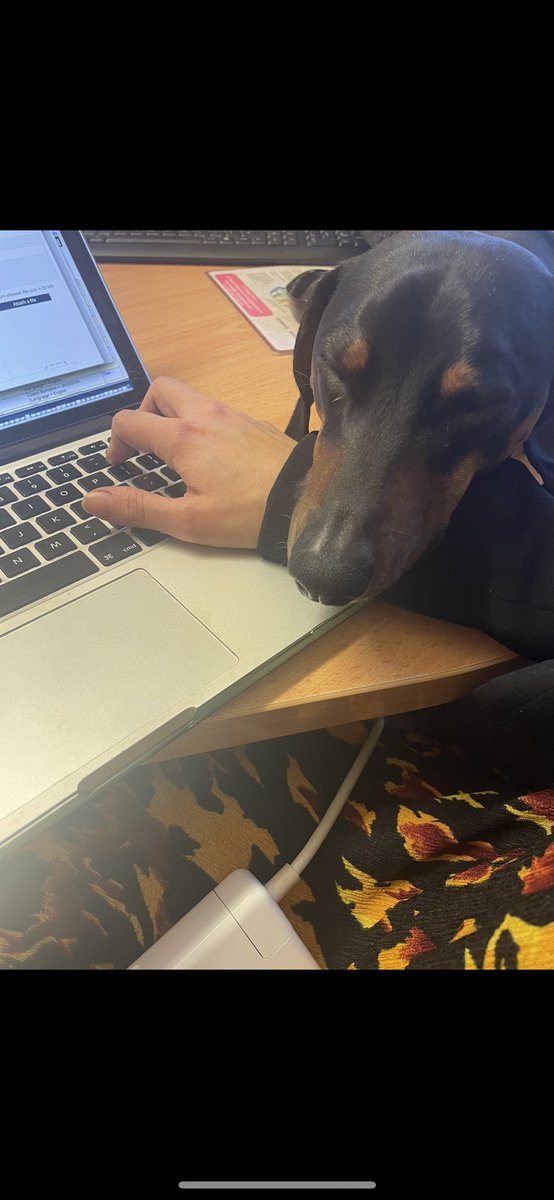 LM_Barrowcliff's tweet photo. @Joanna__Hardy If he wakes up Erik occasionally likes to make a contribution so we ensure that it’s in the minutes https://t.co/VyArgsv0s9