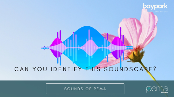 pema_wellness's tweet photo. #identifythesound and #writetous 
#soundsofpema with #soundscapes captured from#pemawellness, #visakhpatnam.
#retreat2021, #retreatlife, #resortsofindia, #bestretreat, #slowlifeindia, #vizagdiaries, #baypark 
https://t.co/AWNJukKAGk https://t.co/pQNF5tn69z