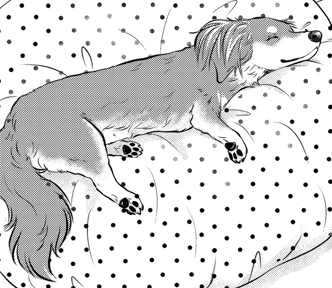 /
#DOGSIGNAL が11時11分をお知らせします🐶
\

今日の1枚はすやすや眠るアリスをどうぞ✨現在ComicWalkerで配信中の第30話の1コマです。

ComicWalker掲載中のエピソードは登録ナシ&amp;無料で読めます🙌未読の方は是非👇
https://t.co/C32lKu4xZl

それでは今日も
#DOGSIGNAL をよろしくお願いします😀 