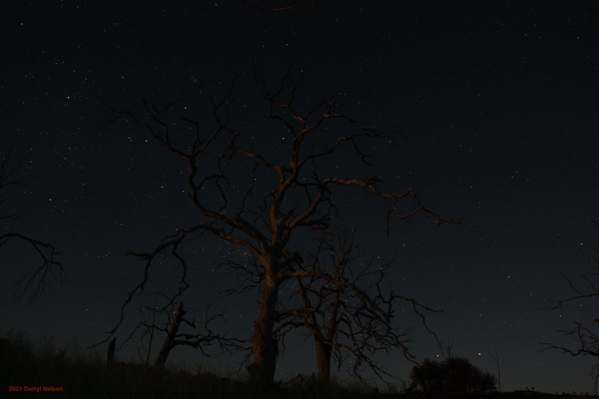 docmegatronic's tweet photo. An attempt at astrophotography which turned out rather well. https://t.co/9X7muBRg7u