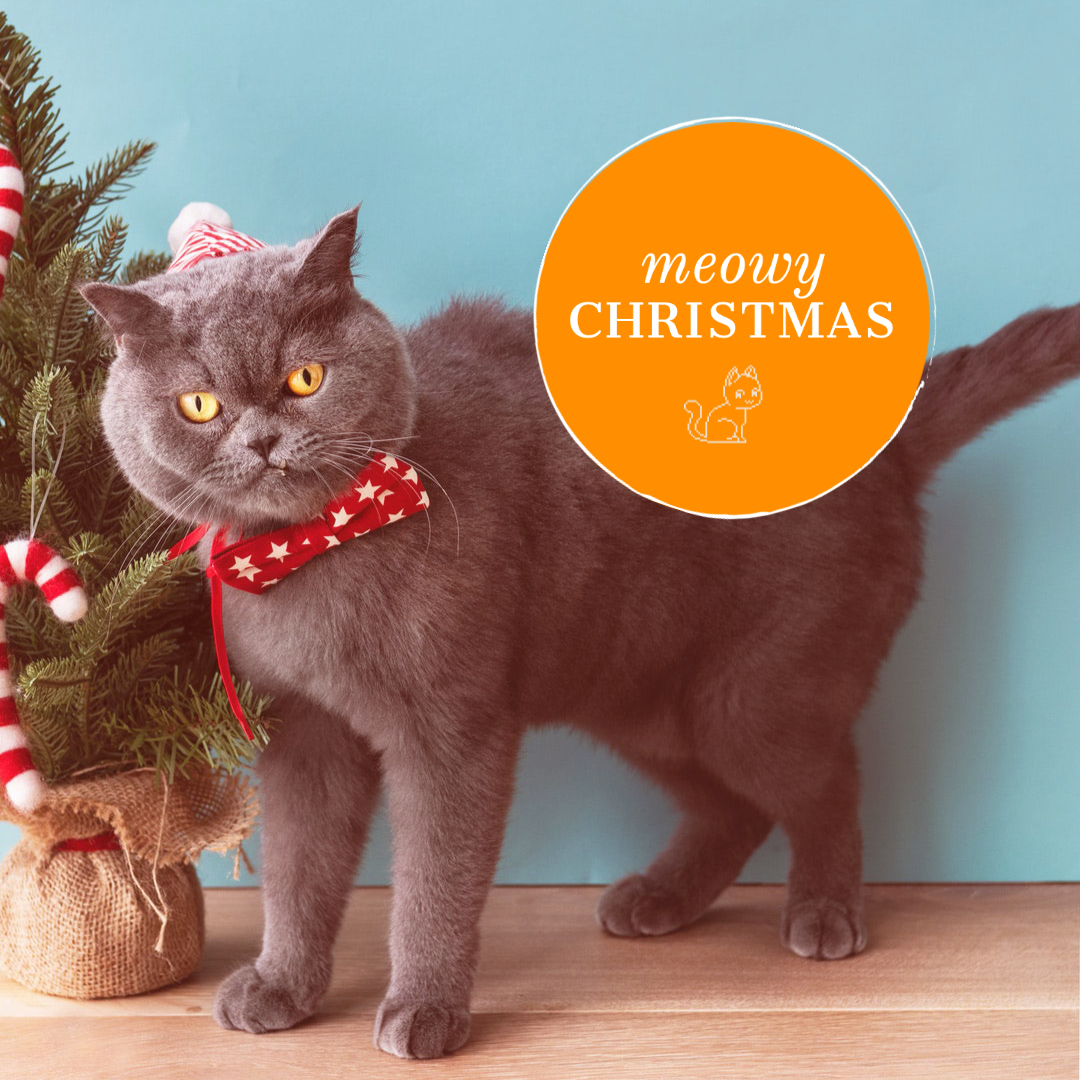 TranscribeThis's tweet photo. Christmas opening hours - we're closing the office from midday on Christmas Eve until January 3rd. Merry Christmas and a Happy New Year! https://t.co/qxov65PxwH