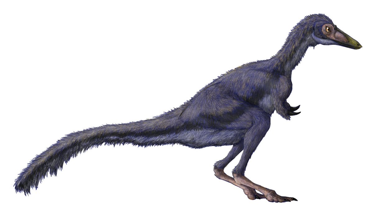 kta92751434's tweet photo. #独断と偏見で選ぶ各国代表
ルーマニア編
#Bradycneme #ブラディクネメ
#Telmatosaurus #テルマトサウルス
#Balaur #バラウル

ルーマニアの恐竜は個性的な子がいるね https://t.co/SrxLbvqz1O