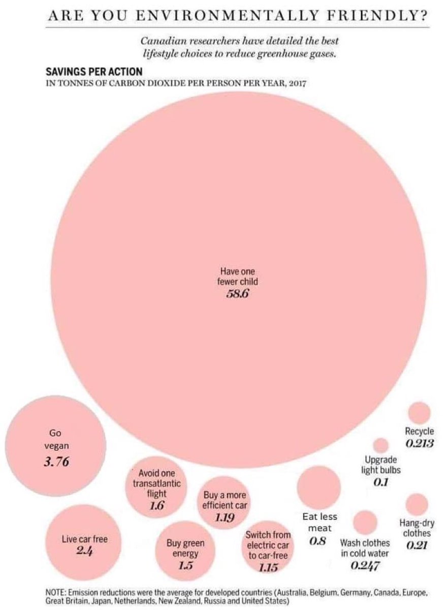 Craig Vertigan tweet media