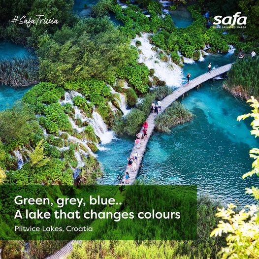 safawaterqa's tweet photo. Green, grey, blue… A lake that changes colours. Plitvice Lakes, Croatia.
For the best drinking water to be delivered at your doorstep anywhere in Qatar., just dial +974-44606699 @safawaterqa #safawater #safaissafe #safaispure #puredrinkingwater #doha #qatar #5gallonbottle https://t.co/JFpwvzmElP