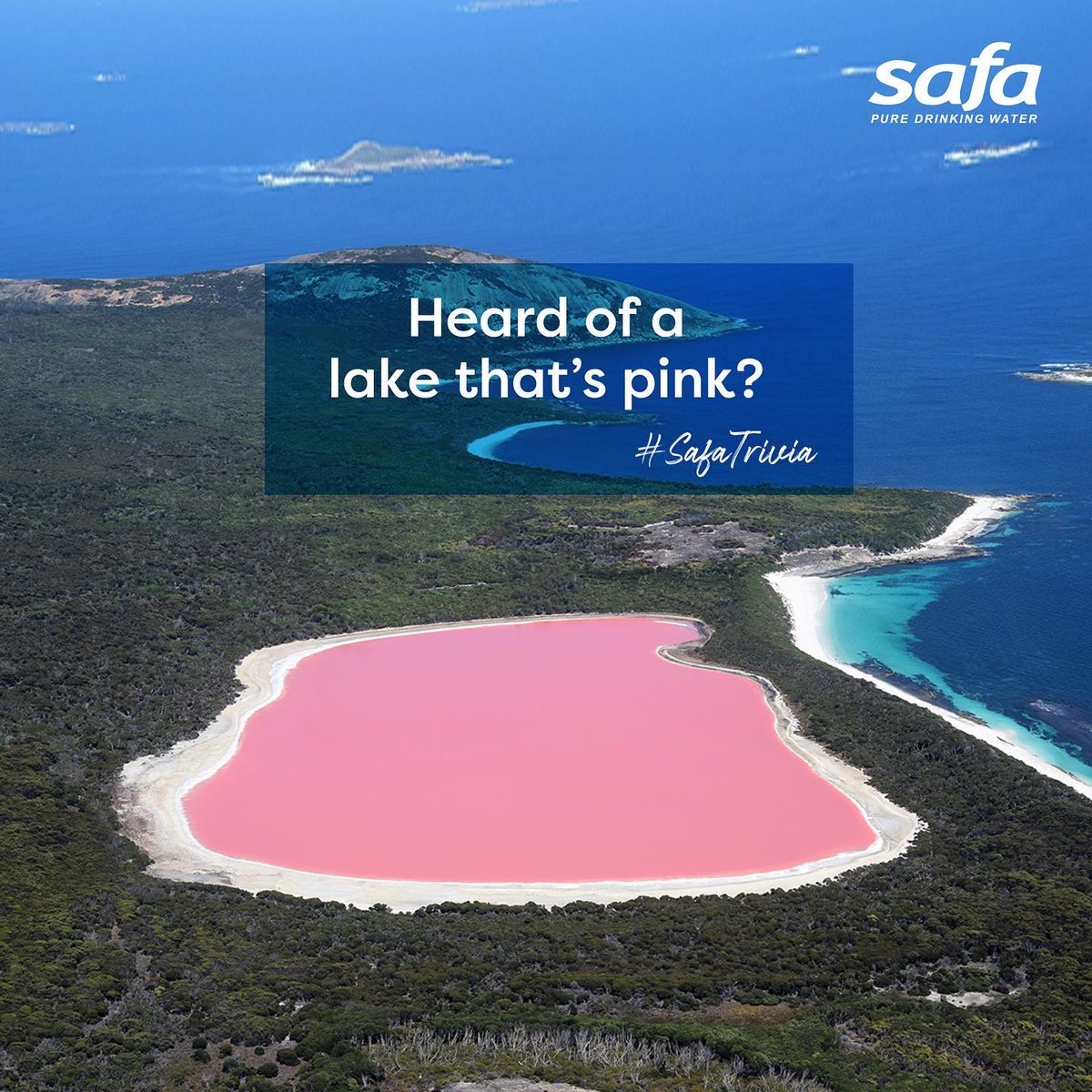 safawaterqa's tweet photo. Have you heard of a lake that’s pink?
@safawaterqa #Safawaterqa #watertrivia #safafunfacts #mawsynram #guinessbookofrecords #safawater #safaisthebest #Safaisafe #Safaispure #Puredrinkingwater #safedrinkingwater #LakeHillier #WesternAustralia #pinklake https://t.co/s4GXyfyILK