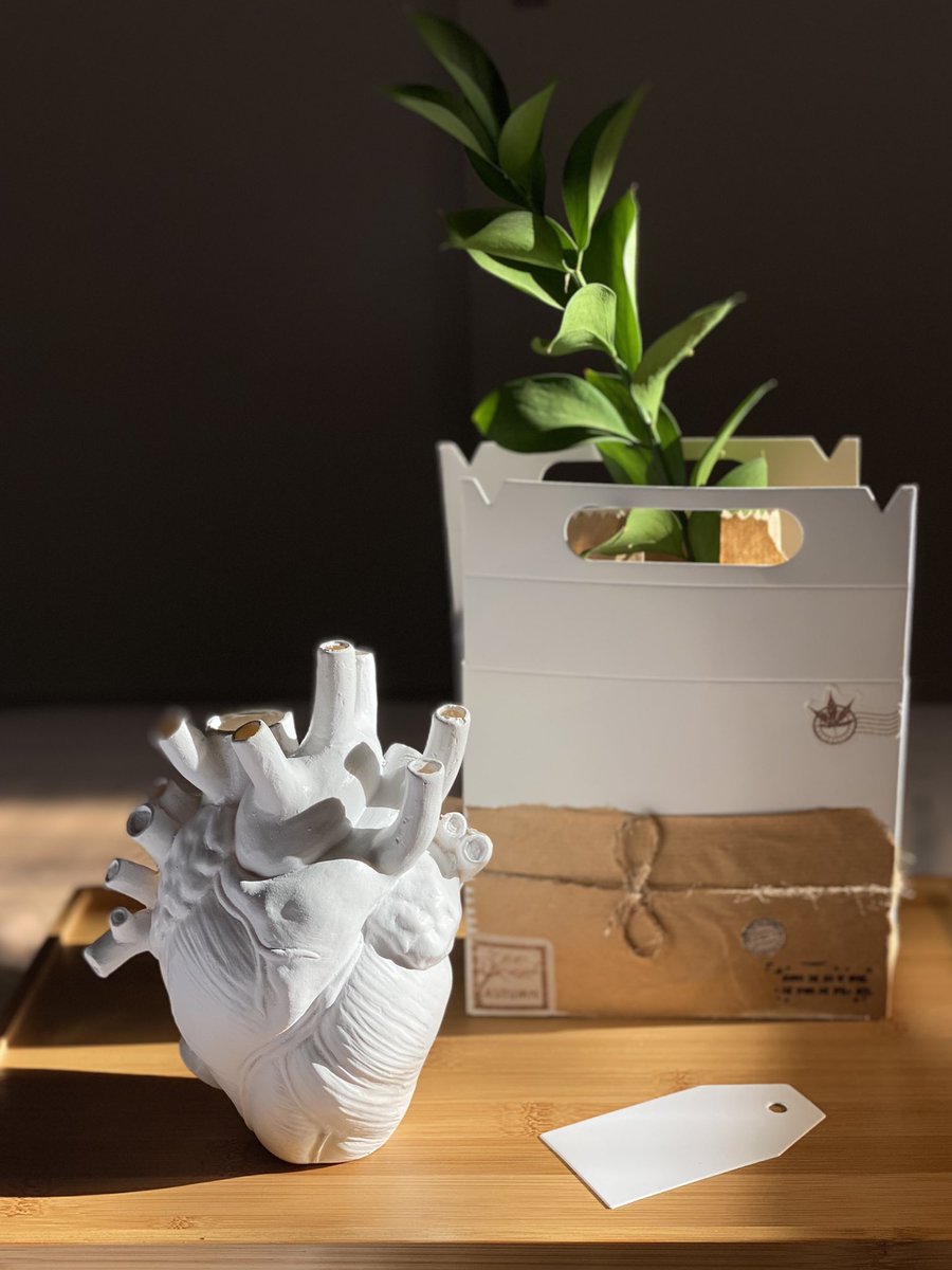 Vases🫀 (@vases_5) on Twitter photo 
