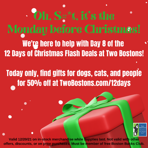 twobostons's tweet photo. 🎁 50% off gifts for dogs, cats, &amp; people! - https://t.co/MqrIS6fX9o https://t.co/gWSem9kApJ