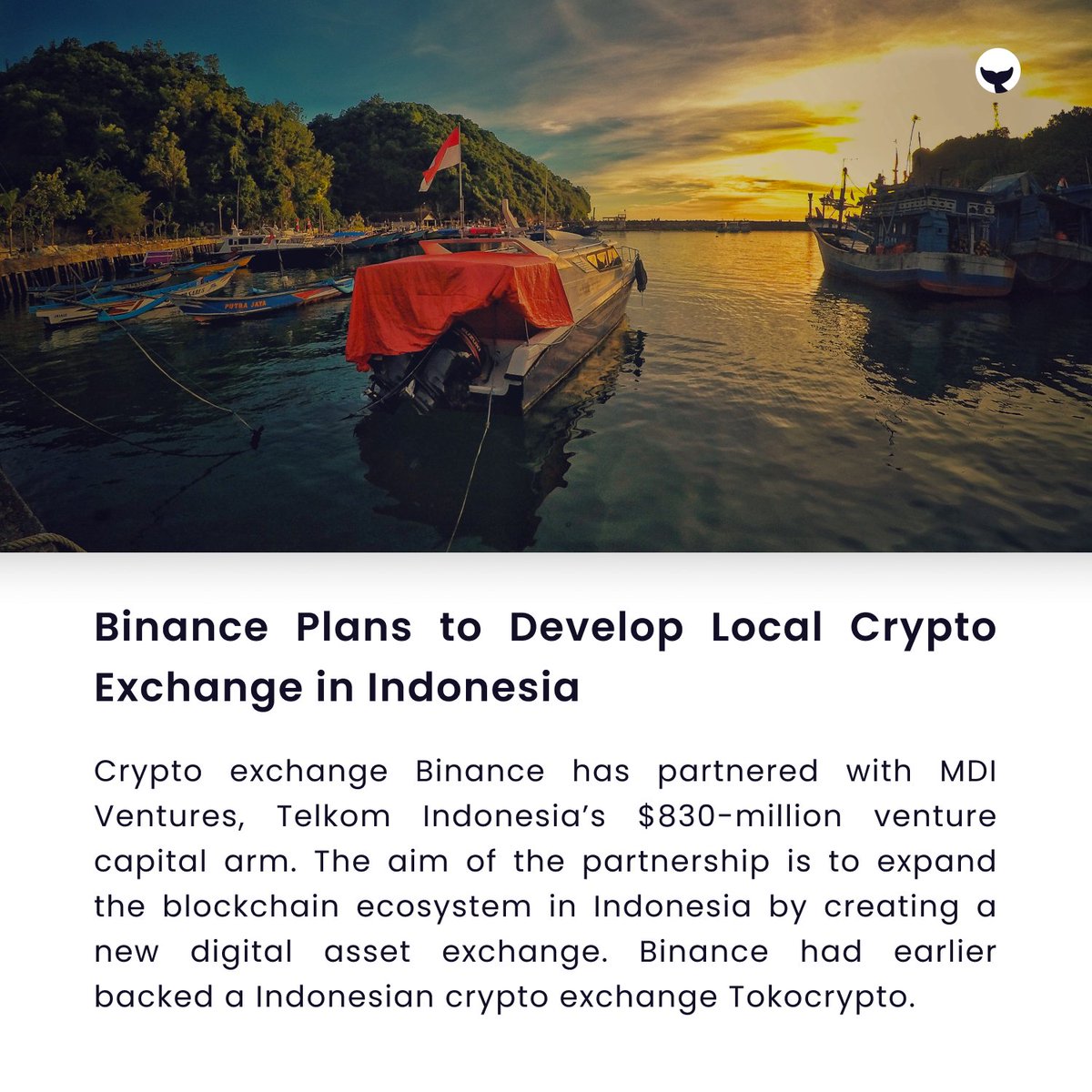 _CryptoWhaler's tweet photo. Binance is planning to develop a local cryptocurrency exchange in Indonesia.

Tags:
#IndianWhaler #IndiaWantsCrypto #crypto #cryptofyingindia🇮🇳 #wazirxwarriors #cryptocurrency #CryptoSetsYouFree #Binance #Indonesia https://t.co/wBG1whfLPB