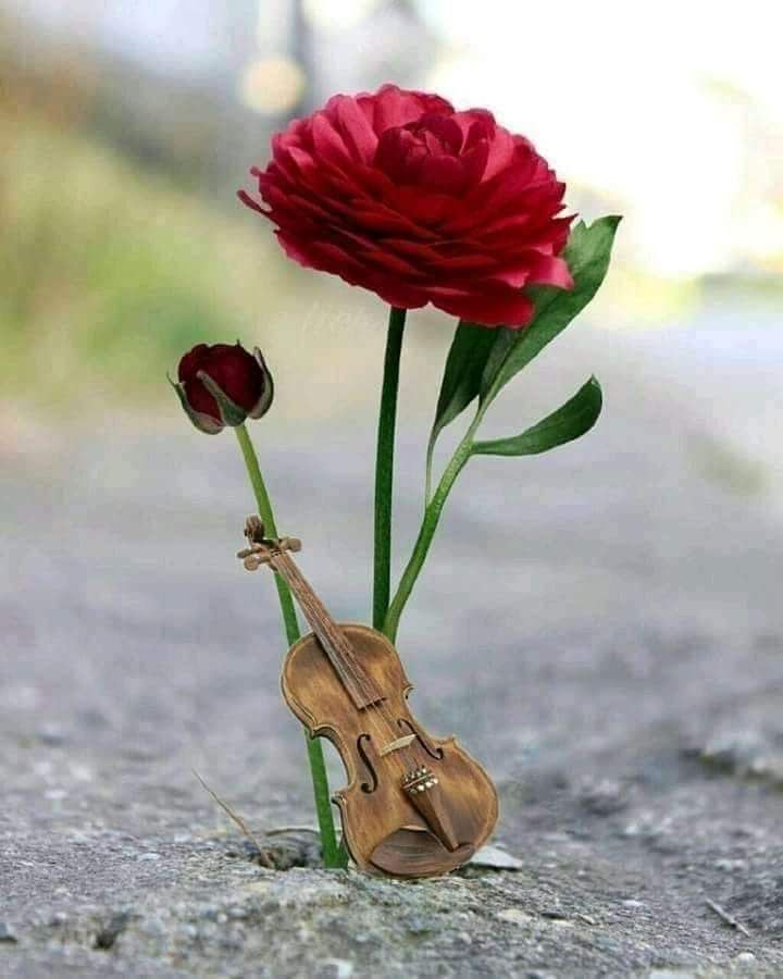 مساء ممتلئ ببقايا الأمس  .