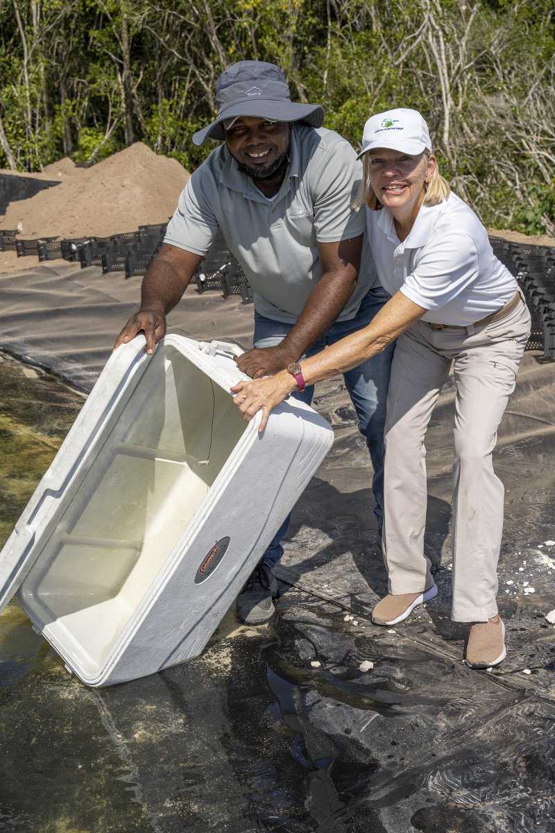 En nuestras instalaciones de acuacultura de agua dulce, desde hace varios meses reproducimos exitosamente el pez Biajaca, especie endémica de la isla Hispaniola, clasificada como vulnerable en la lista roja de Especies Amenazadas (IUCN). 

#environmentalconservation #ecoproject