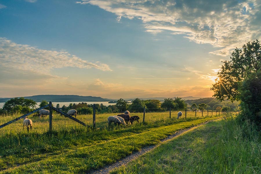 high_growth's tweet photo. Our next retreat date is now live. Reconnect to Success is a 3 day experience that will leave you inspired for the future, in a stunning location surrounded by like-minded business owners. To find out more, visit the link below and fill in the form.

https://t.co/59TB0lD0ko https://t.co/E3hKu8C9NV