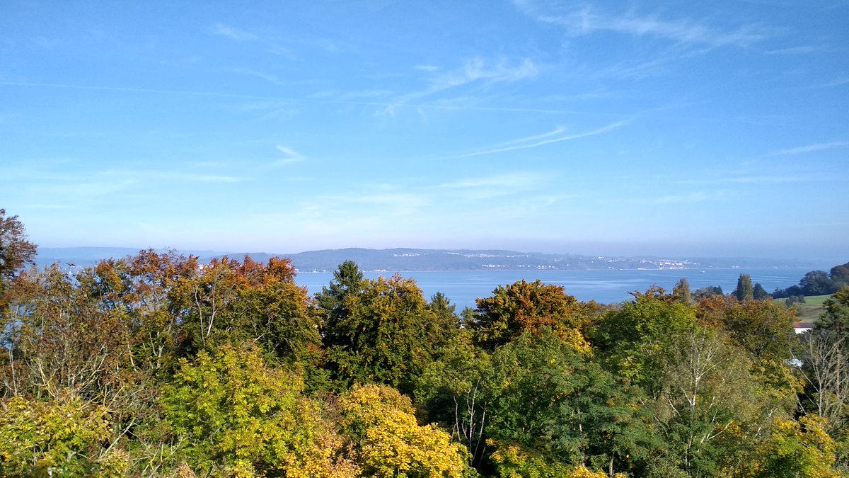 CBehav's tweet photo. Job alert📢: #CASCB is hiring! We offer multiple #PhD and #Postdoctoral positions right now. Join us at the lake: https://t.co/jX9Lt1U9PJ
@MPI_animalbehav @UniKonstanz https://t.co/4X0eRRHov7