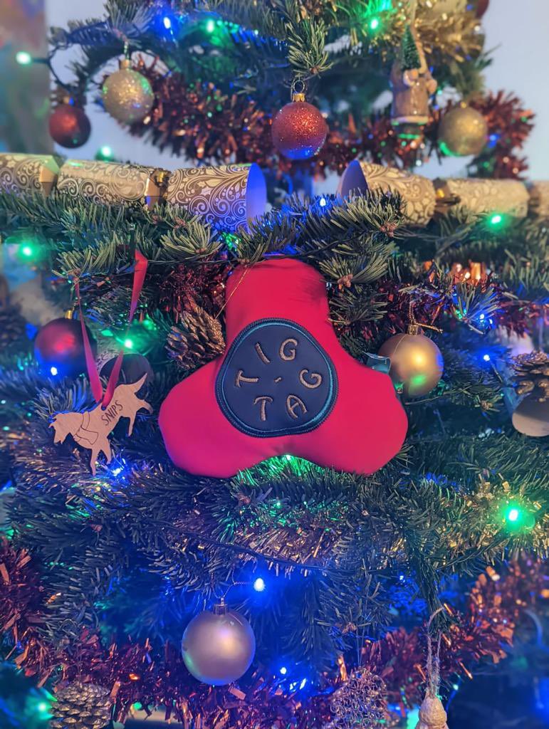 Still struggling on what to buy the children?  What about getting an award winning      Tig-Tag ? Only £10 Head over to our website.                tig-tag.co.uk     #fun #bizhour #Christmas #toys #familyfun #musthave #Want___ForChristmas
