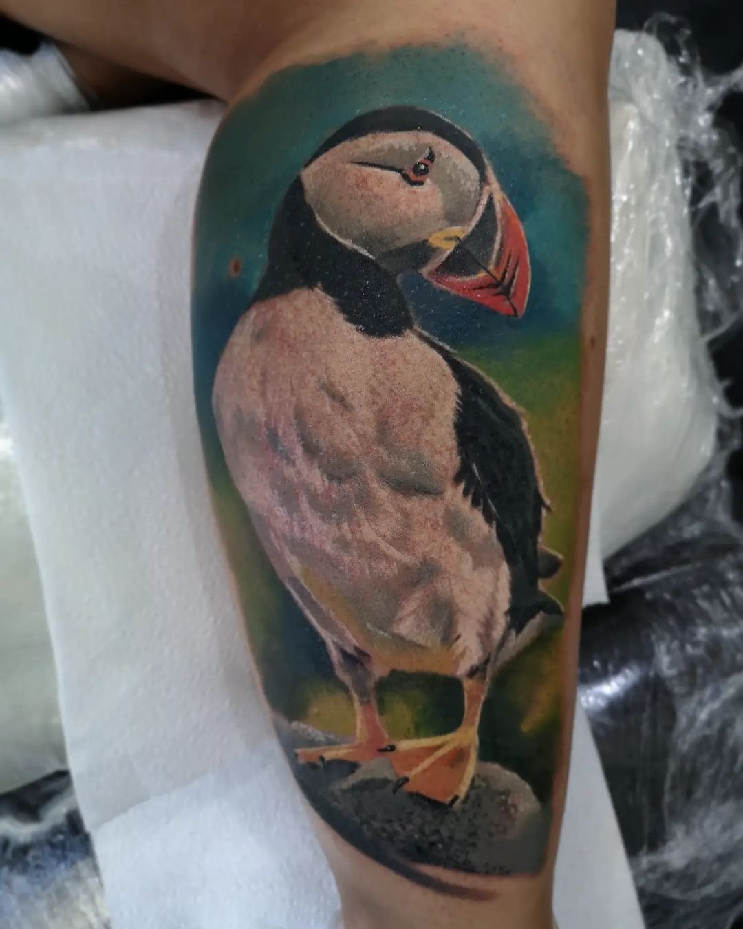 A couple tattoos from this week for two friends 🥰 a lemon tree and a puffin  with a traffic cone! #puffintattoo #lemontattoo #treetattoo | Instagram