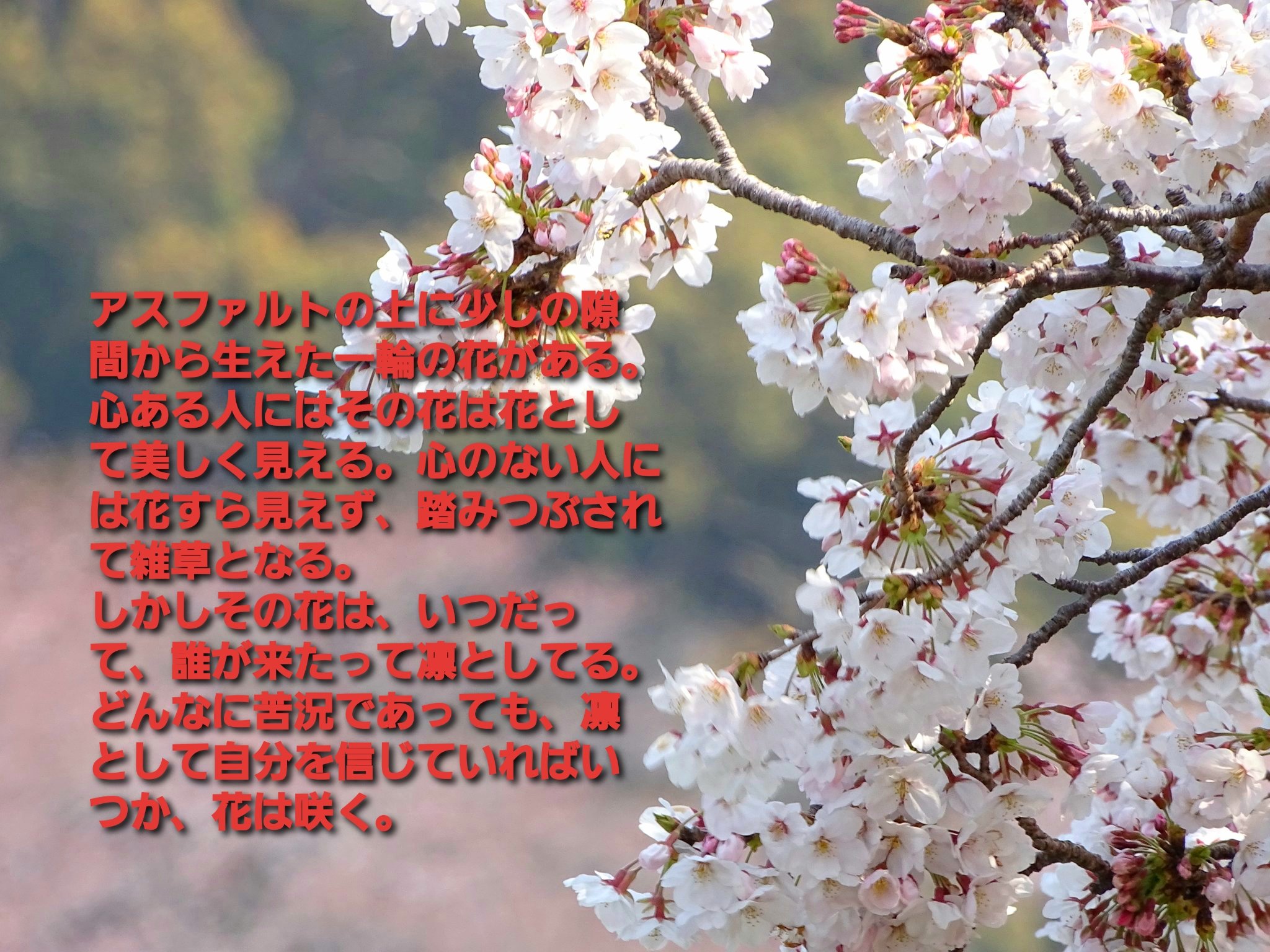 Jack Leo Jackleo1213 Twitter