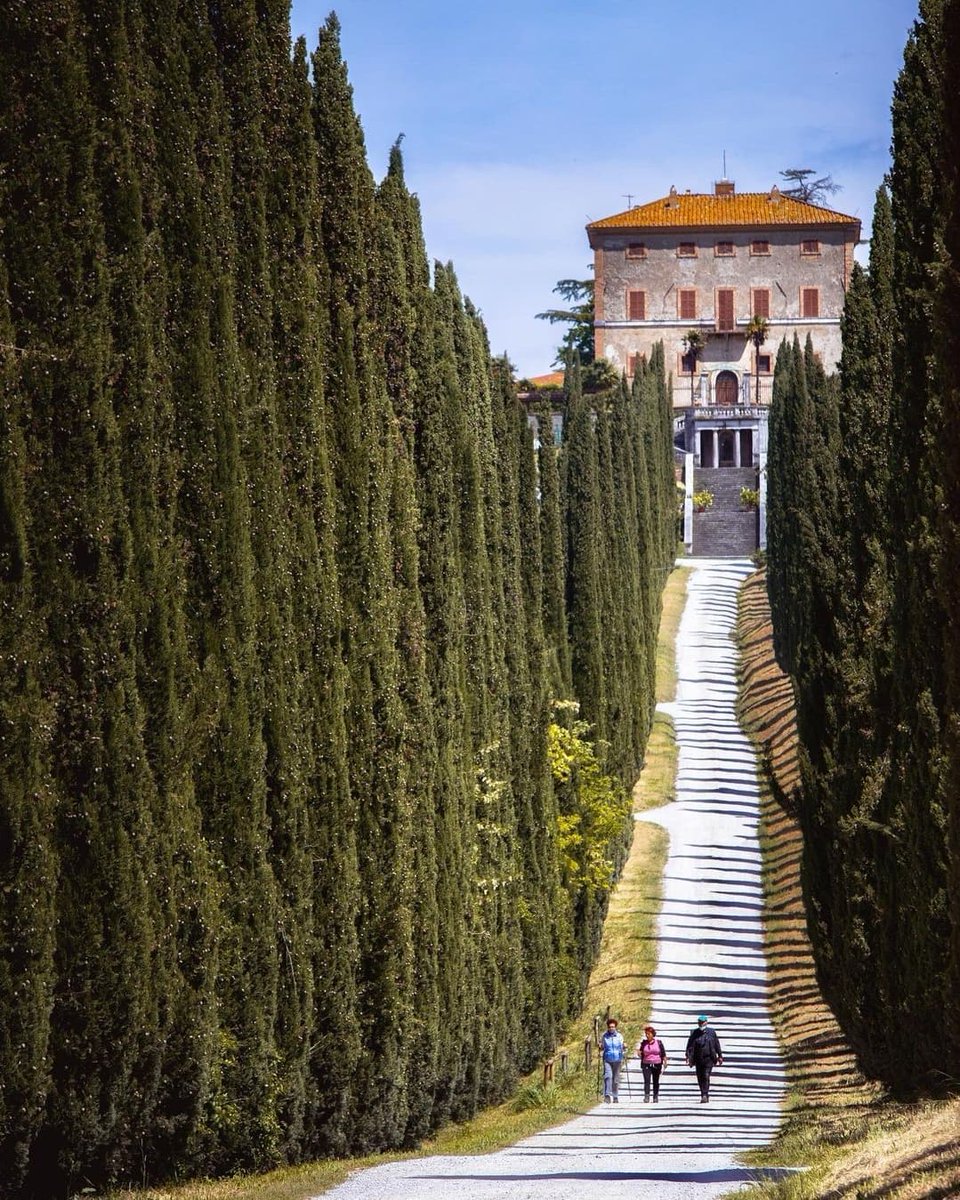 Italia's tweet photo. Strada dell'Olio DOP, Umbria: an itinerary suitable to all lovers of nature and history, and a paradise for foodies too ▶ https://t.co/BcKQESFWN0
#treasureitaly @UmbriaTourism 
📸 instagram @ mich_travel_89 https://t.co/rv9eXcHuCi