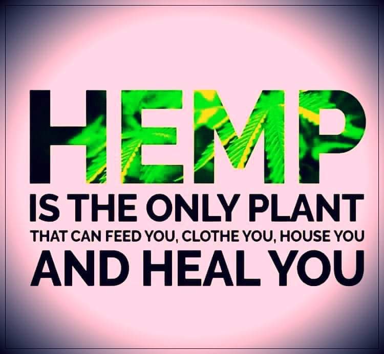 Norstackk's tweet image. :&amp;gt;}_~#WakeNBake #StonerFam #StonerCircle #MMOT #IAmCannabis #WeAreCannabis #FuckCancer #StayWoke &amp;amp; ALL #STONERS ~HappyMonDazed~