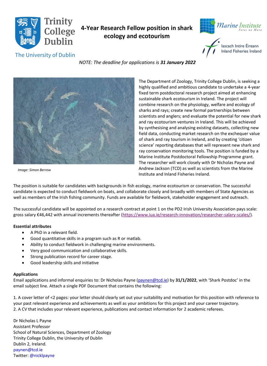 Nicholas Payne (@nicklpayne) on Twitter photo Please RT! New 4-year postdoc position to work on #shark ecology and ecotourism in Ireland. Collaboration between <a href="/tcddublin/">Trinity College Dublin</a> and <a href="/MarineInst/">Marine Institute</a> and <a href="/ResearchIFI/">IFI Research</a>. Enquiries to paynen@tcd.ie and deadline 31 Jan 2022. π¦π¦π¦π Please RT! New 4-year postdoc position to work on #shark ecology and ecotourism in Ireland. Collaboration between <a href="/tcddublin/">Trinity College Dublin</a> and <a href="/MarineInst/">Marine Institute</a> and <a href="/ResearchIFI/">IFI Research</a>. Enquiries to paynen@tcd.ie and deadline 31 Jan 2022. π¦π¦π¦π