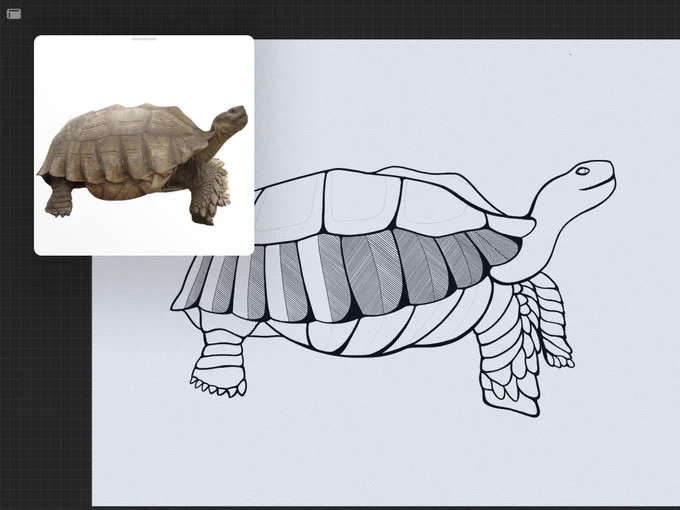 testudine commission in progress 🐢 