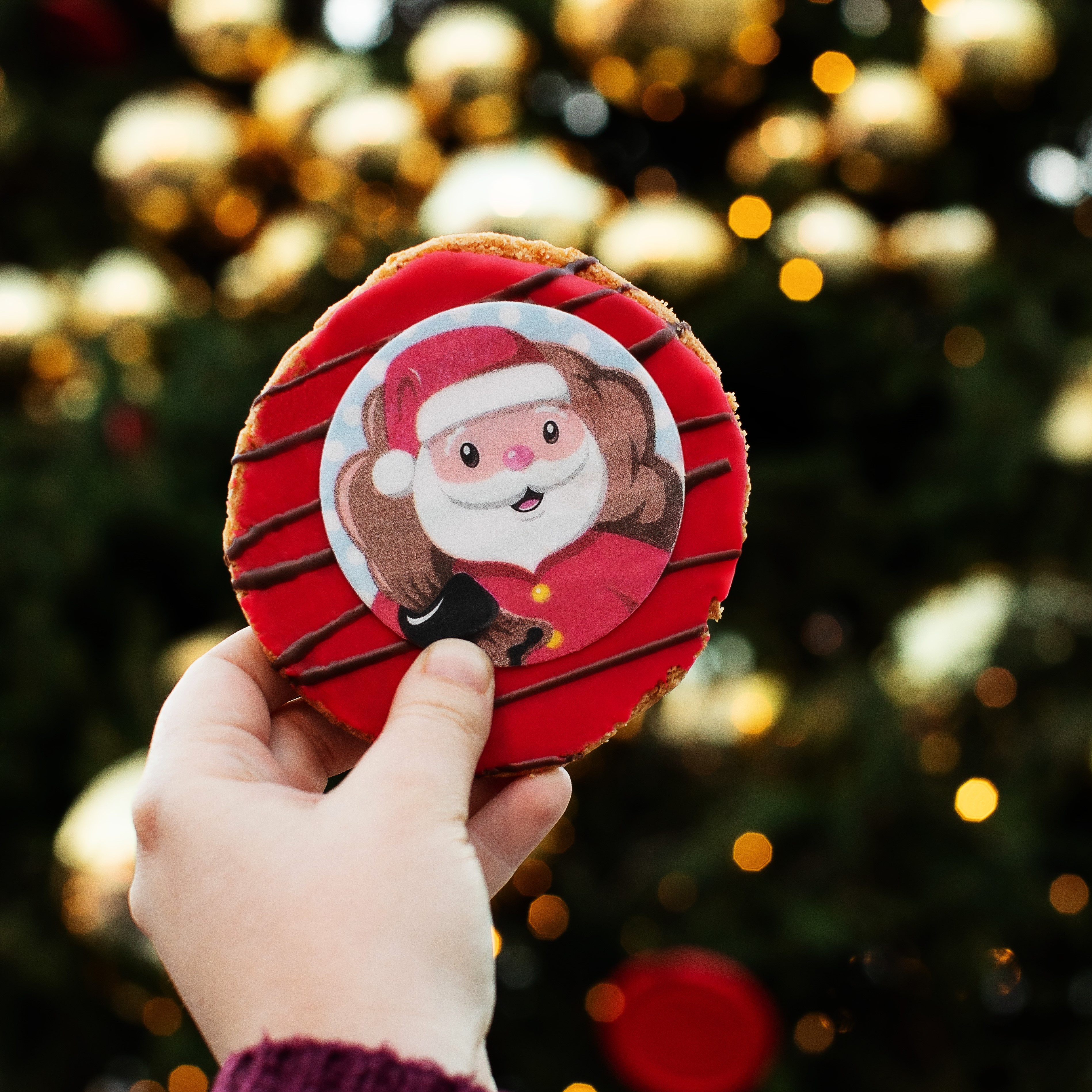 Bulls Eye Playground Christmas Cards 2022 Wenzel's (@Wenzelsthebaker) / Twitter