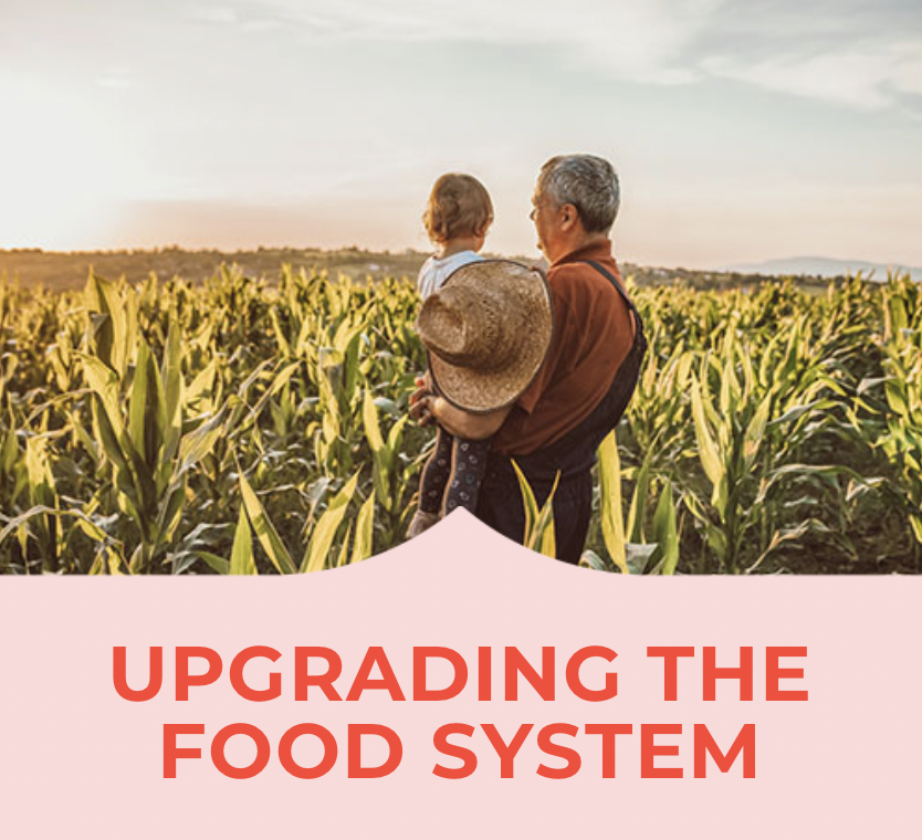 Sustainability is really important to us - to achieve a net carbon positive, nature positive operation and a fair value chain. Find out more about what we are doing to upgrade the food system here thelivekindlyco.com/upgrade-food-s…

#livekindly #foodsystems #naturepostive