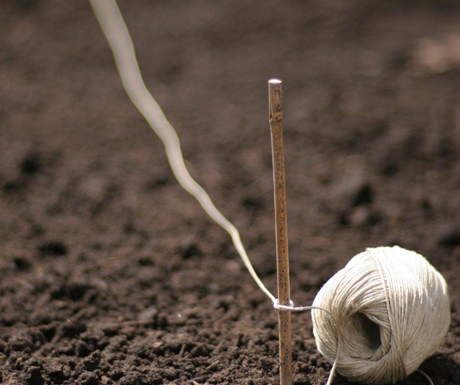 One of the most enjoyable December gardening jobs is planning next year’s garden. Once all the leaves in your garden have fallen and the perennials have been cut back, it’s easy to see where the gaps are. Grab your notebook, sit back and enjoy dreaming of those gorgeous beds.