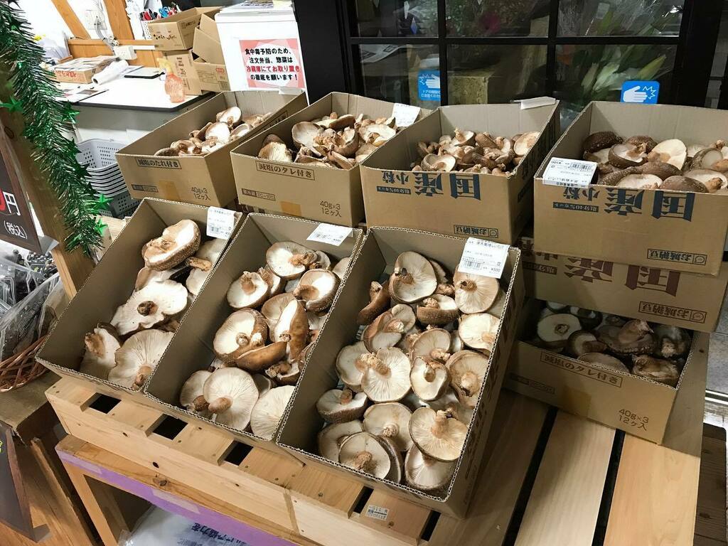 三加和温泉なごみ乃湯 tweet media